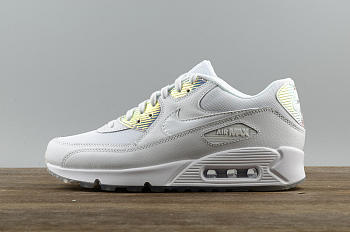 Nike Air Max 90 443817-104
