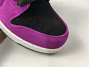 Dunk SB Low SP BQ6817-501 - 5