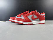 Nike Dunk Low SB CU1726-600 - 1