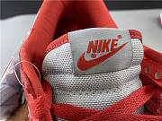 Nike Dunk Low SB CU1726-600 - 6