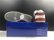  Nike Dunk SB Low Roller Derby - 313170-601  - 5