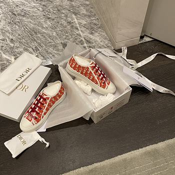Dior 001