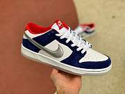  Nike Dunk SB Low Ishod Wair  - 5