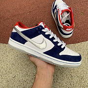  Nike Dunk SB Low Ishod Wair  - 2