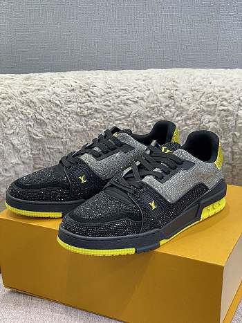 LV308 Trainer