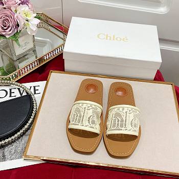 Chloe Flat Mules 05