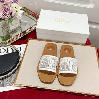 Chloe Flat Mules 08