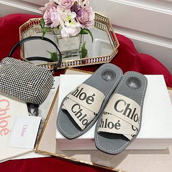 Chloe Flat Mules 09