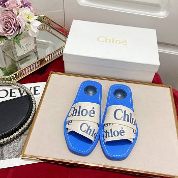 Chloe Flat Mules 10