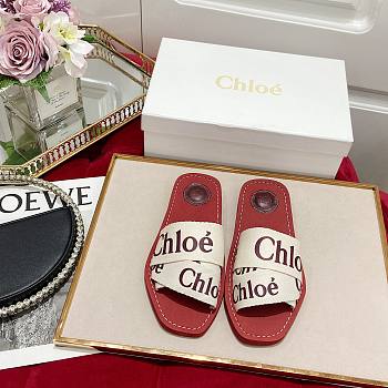 Chloe Flat Mules 11