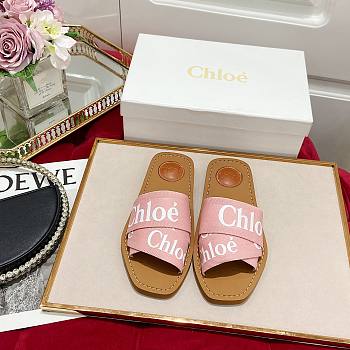 Chloe Flat Mules 12