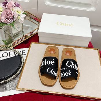 Chloe Flat Mules 13