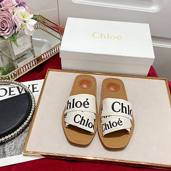 Chloe Flat Mules 14