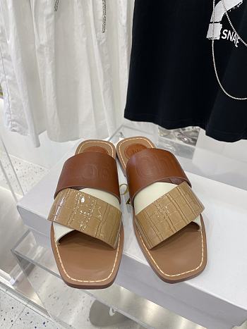Chloe Flat Mules 15