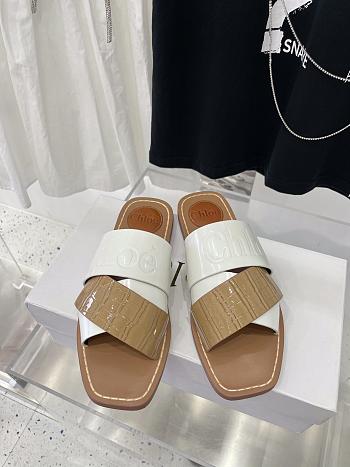 Chloe Flat Mules 17