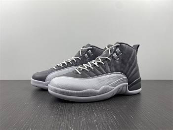 jordan 12 space grey