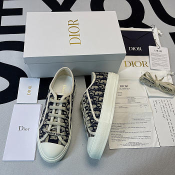 Dior Sneaker Walking