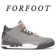Air Jordan 3``Cool Gray''  - 1