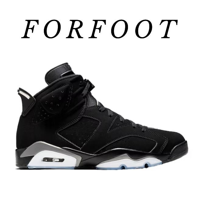 Air Jordan 6 metallic silver black and silver dx2836-001 - 1