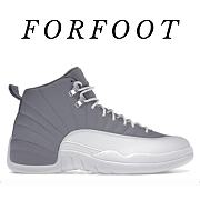 Air Jordan 12 “Stealth” White-Cool Grey - 1