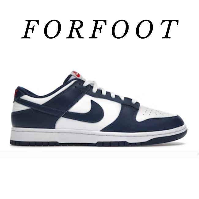 Nike Dunk Low Valerian Blue  DD1391-400 - 1