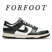 Nike Dunk Low Vintage Green (W) DQ8580-100 - 1