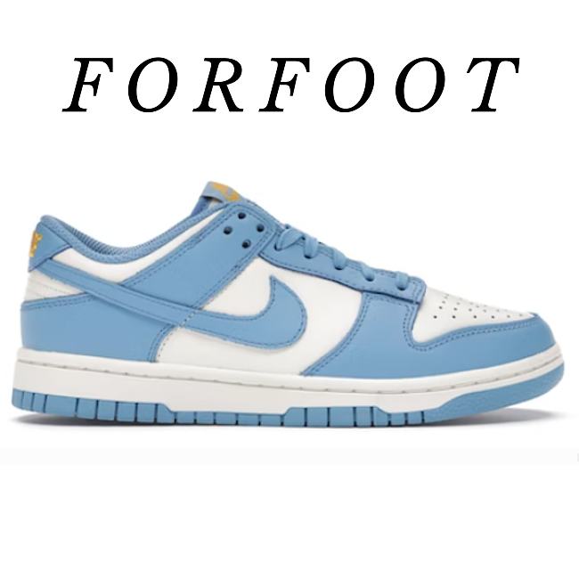 Nike Dunk Low Coast (W) DD1503-100 - 1