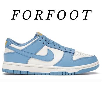 Nike Dunk Low Coast (W) DD1503-100