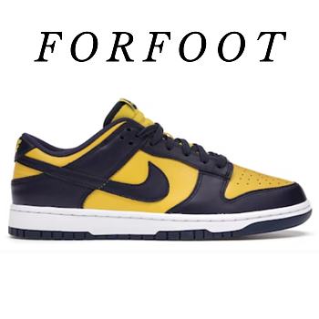 Nike Dunk Low Retro DD1391-700