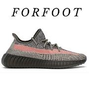Adidas Yeezy Boost 350 V2 Ash Stone GW0089 - 1