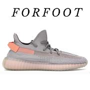 ADIDAS YEEZY BOOST 350 V2 TRUE FORM EG7492 - 1