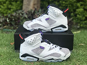 Air Jordan 6 Retro Flight Nostalgia CI3125-100 - 5