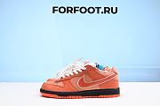 Concepts x Nike SB Dunk Low Orange Lobster FD8776-800 - 1