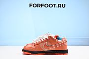 Concepts x Nike SB Dunk Low Orange Lobster FD8776-800 - 3
