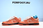Concepts x Nike SB Dunk Low Orange Lobster FD8776-800 - 2