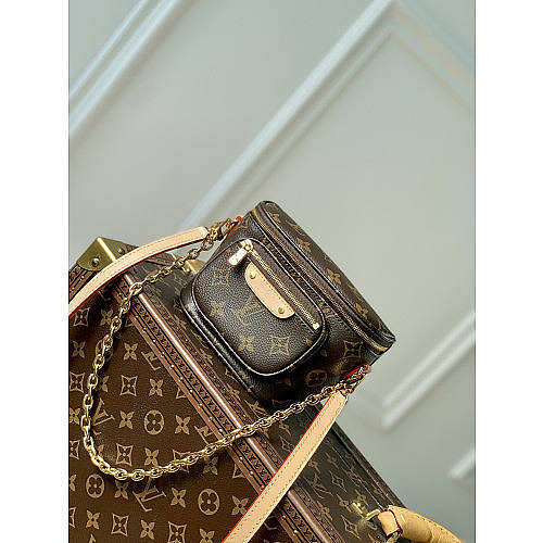 Louis Vuitton Mini Bumbag-17 X 12 X 9.5CM - 1
