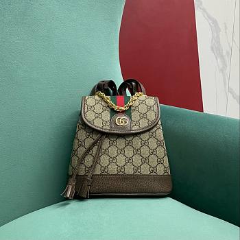Gucci Ophidia GG Supreme 795221 size 20.5*20.5*12cm