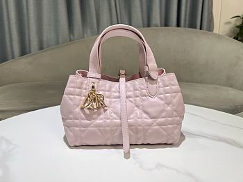 Dior Toujours bag pink size 23*14*12 cm