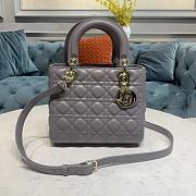 Dior Lady Elephant Grey Sheep Gold lambskin size 24 x 12x 20cm - 5