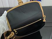 LV Diane bag M45985 Size:25x9x15cm - 3