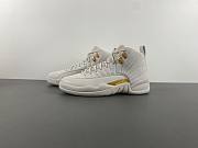 Air Jordan 12 