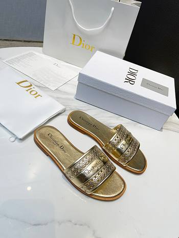 DIOR Dway sandals in Gold