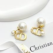 Dior Tribales Earrings In Multi - 1