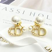 Dior Tribales Earrings In Multi - 4