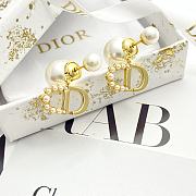 Dior Tribales Earrings In Multi - 2