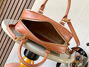 Loewe Amazona 23 Bag Brown Leather - size: 23x10x15cm - 5