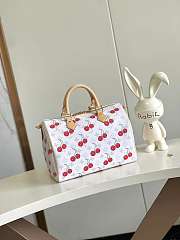 LV x Takashi Murakami Cherry Speedy Soft Bandouliere 30 - size: 30 x 21 x 17cm - 5