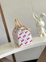 LV x Takashi Murakami Cherry Speedy Soft Bandouliere 30 - size: 30 x 21 x 17cm - 4