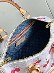 LV x Takashi Murakami Cherry Speedy Soft Bandouliere 30 - size: 30 x 21 x 17cm - 2