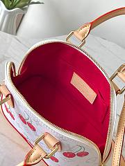 LV x TM Alma BB Other Monogram Canvas - size: 23.5 x 17.5 x 11.5cm - 2